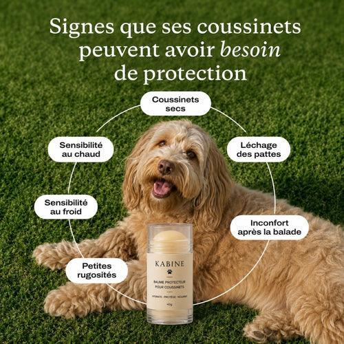 Baume protecteur pour coussinets