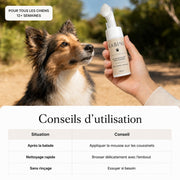 Mousse nettoyante pour coussinets